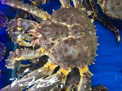 -盒马鲜生(顺义店)