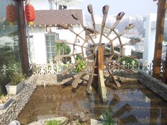 -慢丽江·云南野生菌土鸡锅(付家庄店)