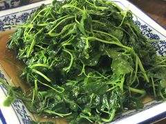 酒香草头-洞天食府(北大街店)