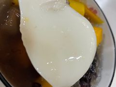 -凉凉海石花