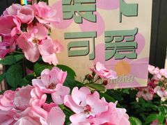 -奈雪的茶(中粮祥云小镇店)