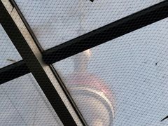 -上海大自然野生昆虫馆(东方明珠·爬宠昆虫探索中心)