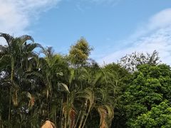 -玫瑰海岸文化旅游度假区