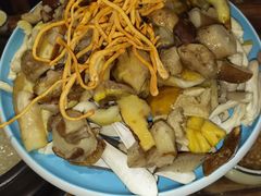 -菌之家·专业纯野生菌火锅·特色炒菌