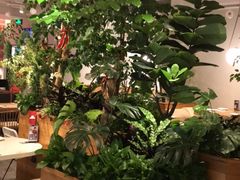 大堂-必胜客(百联又一城店)