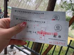 -合肥滨湖国家森林公园