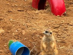 -杭州野生动物世界