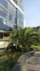 -汐月Health纤体spa中心