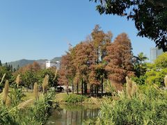 -四海公园(南山区)