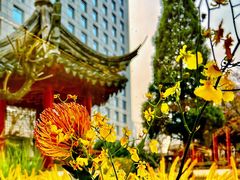 -九献创意菜·牛排料理(亮马河花园店)