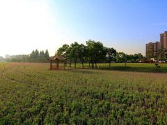 -杭州城北体育公园