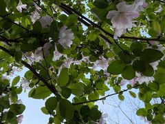 -石家庄市植物园