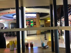 -奥斯卡升龙国际影城(RealD Cinema)