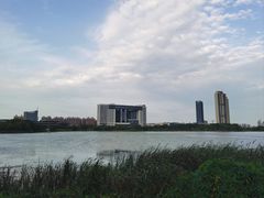 -金银湖国家城市湿地公园