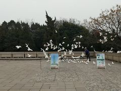 -雨花台烈士纪念馆