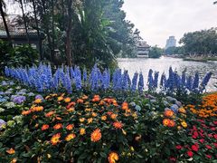 -荔湾湖公园
