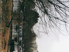 -合肥野生动物园