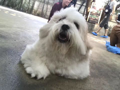 -TrueLove @ Neverland (Husky Cafe)