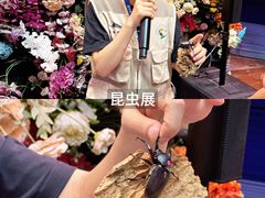 -正佳雨林生态植物园
