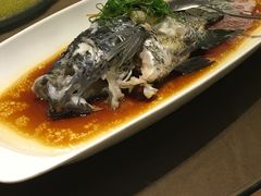 -宝燕壹号(徐汇店)