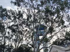 -白云山风景名胜区