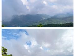 -武陵山森林公园