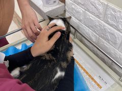 -美联众合动物医院·24h京西诊疗中心