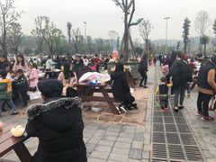 -枫香湖儿童公园