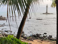 -小海豚•老字号海鲜餐厅(天涯店)