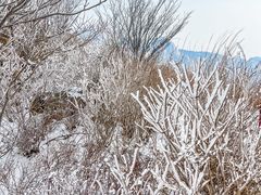 -崂山巨峰游览区