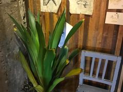 -仙峰天然面包(迎宾路店)