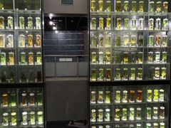 -广东中医药博物馆