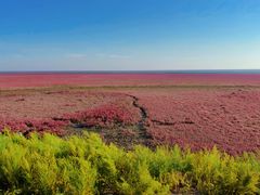 -红海滩国家风景廊道