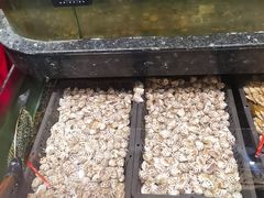 -海鲜e族(马王堆店)