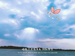 -合肥滨湖国家森林公园