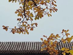 -颐和园