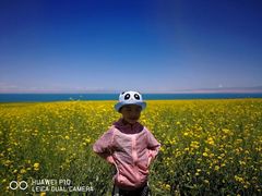 -青海湖国家重点风景名胜区