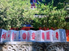 -北京艺术博物馆(万寿寺)