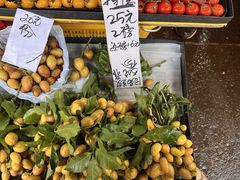 -油麻地果栏