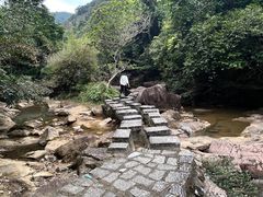 -广州白江湖森林公园