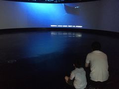 -同济大学四平路校区深海探索馆
