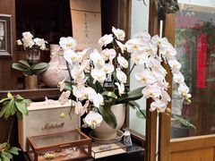 -点绛唇(鼓楼店)