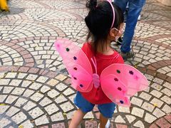 -顺德大良半月城游乐场