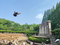 -音乐台