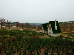 -绵阳盛世樱花悠乐谷