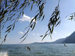 -滇池海埂公园