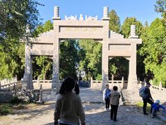 -原山国家森林公园