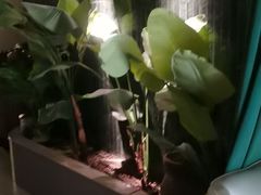 -涟LIAN·泰式按摩·MASSAGE·SPA(华强北店)