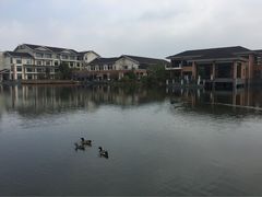 iphone_upload_pic-杭州世外桃源君澜度假酒店