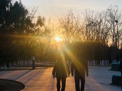 -永定河休闲森林公园